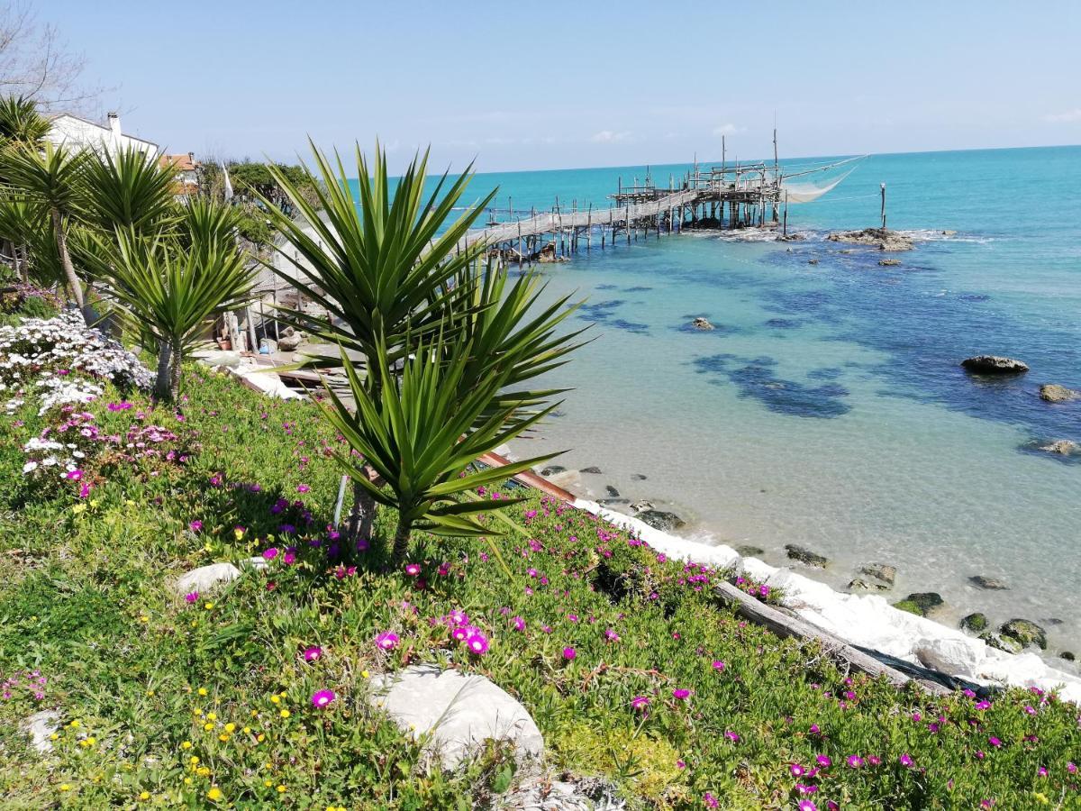 Sole & Querce Apartments- Bike Friendly With Garage Λαντσιάνο Εξωτερικό φωτογραφία
